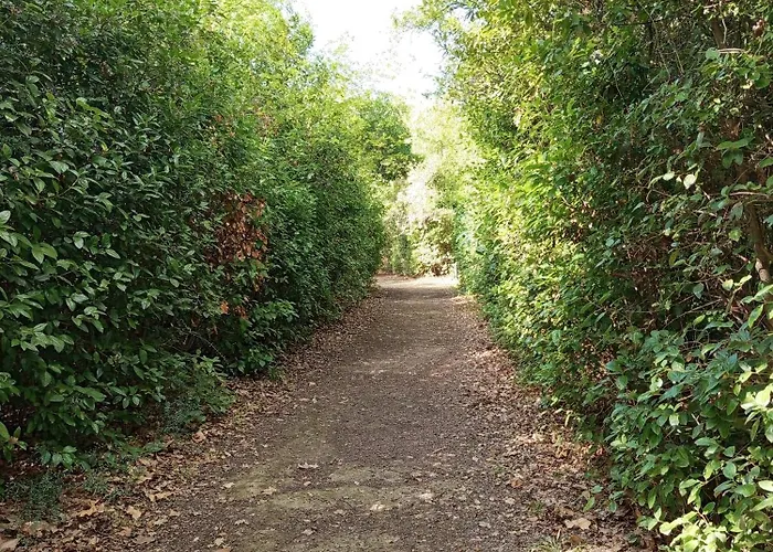Apartament Les Murmures Du *
